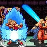 Power Instinct 2 Combat Challenge