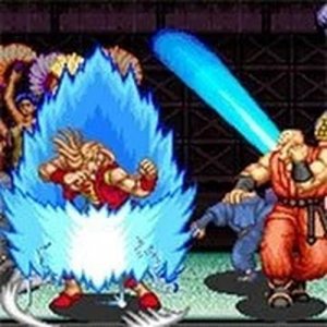 Power Instinct 2 Arcade Fighting Game - Arcade Game