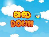 Feather Descent Adventure Game