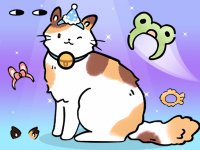 Feline Designer Studio
