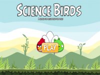 Physics Puzzle Challenge