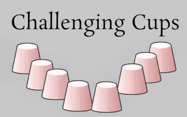 Challenging Cups Memory Observation Game
