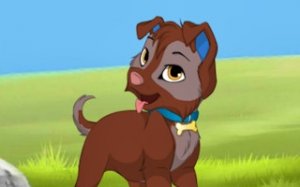 Puppy Stylist Creative Studio